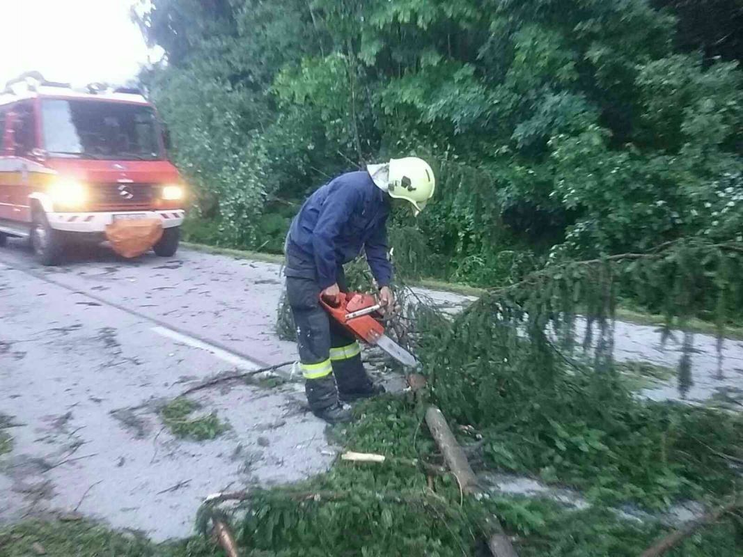 Milošová spadnutý strom foto 1