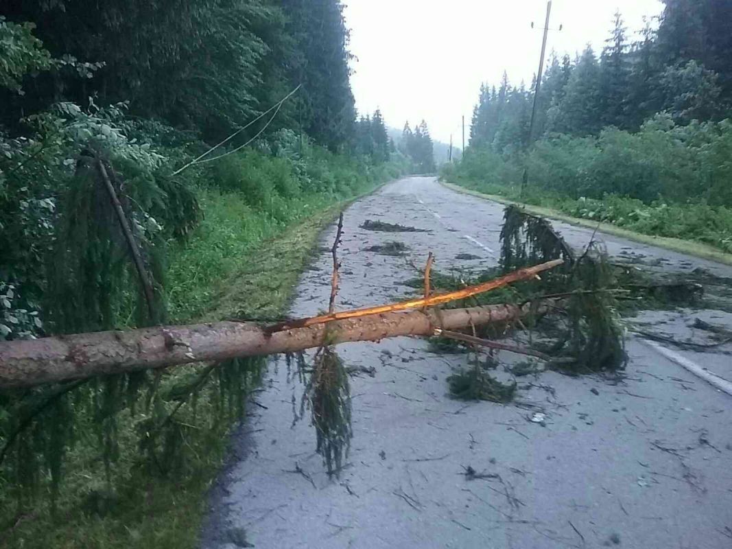 Milošová spadnutý strom foto 3