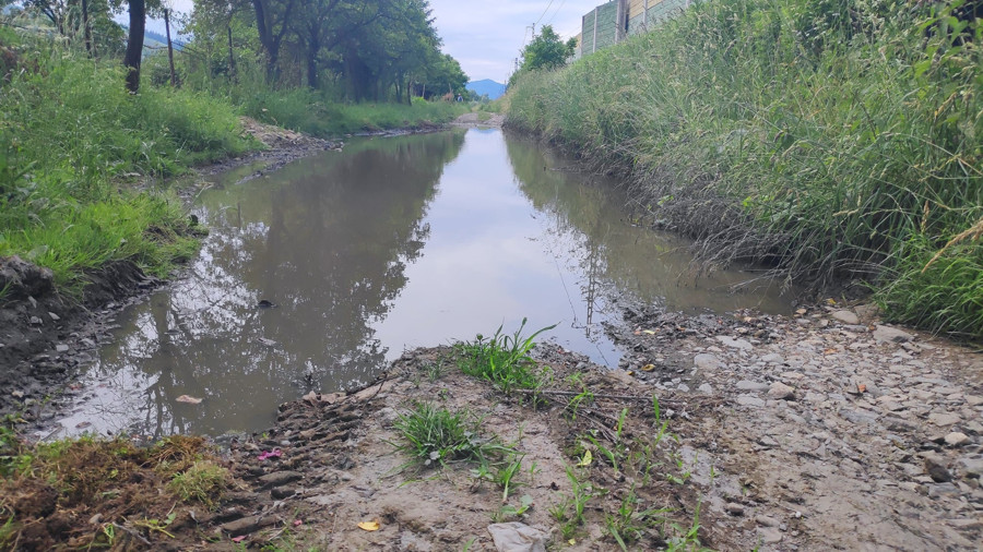 ochodnica cyklo
