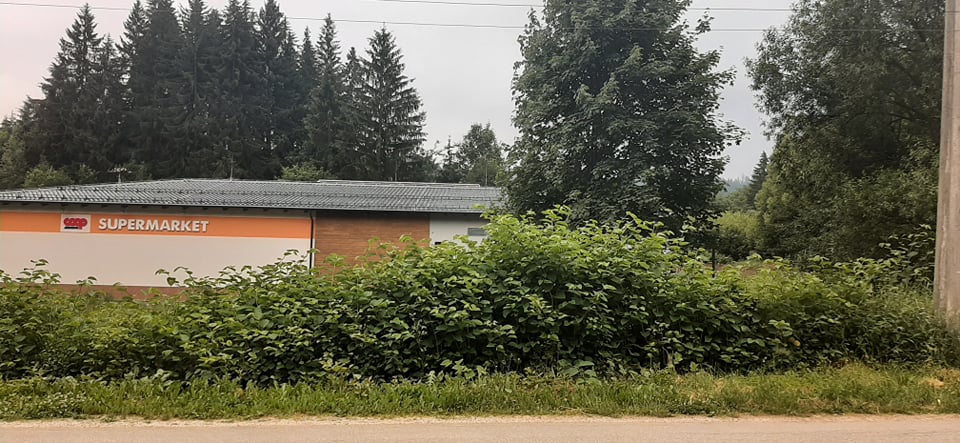 invazne rastliny1