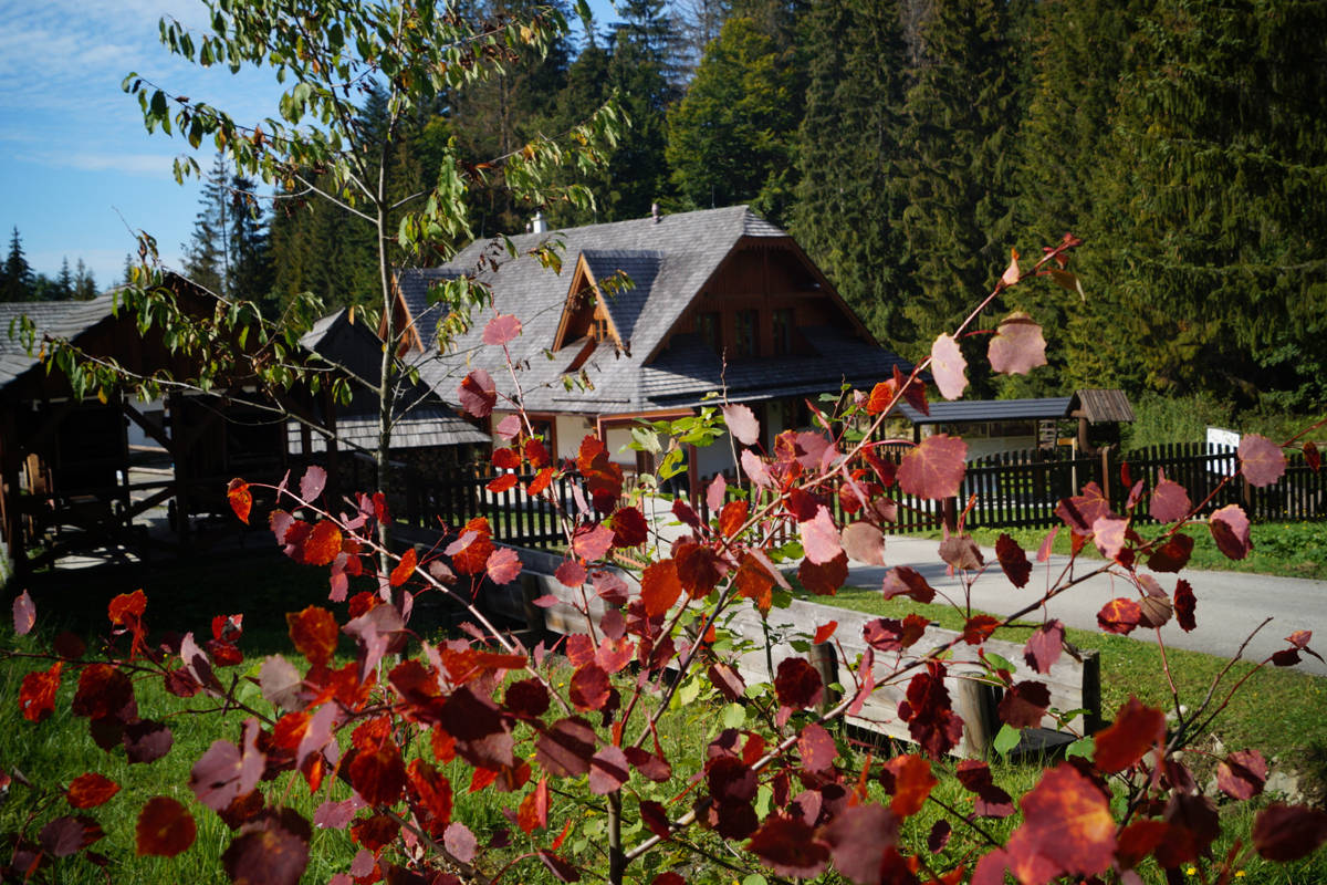 skanzen vychylovka muzeum