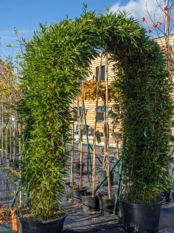 darcekova poukazka zahradnictvo 3