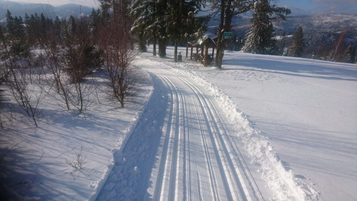 bezkovanie oscadnica