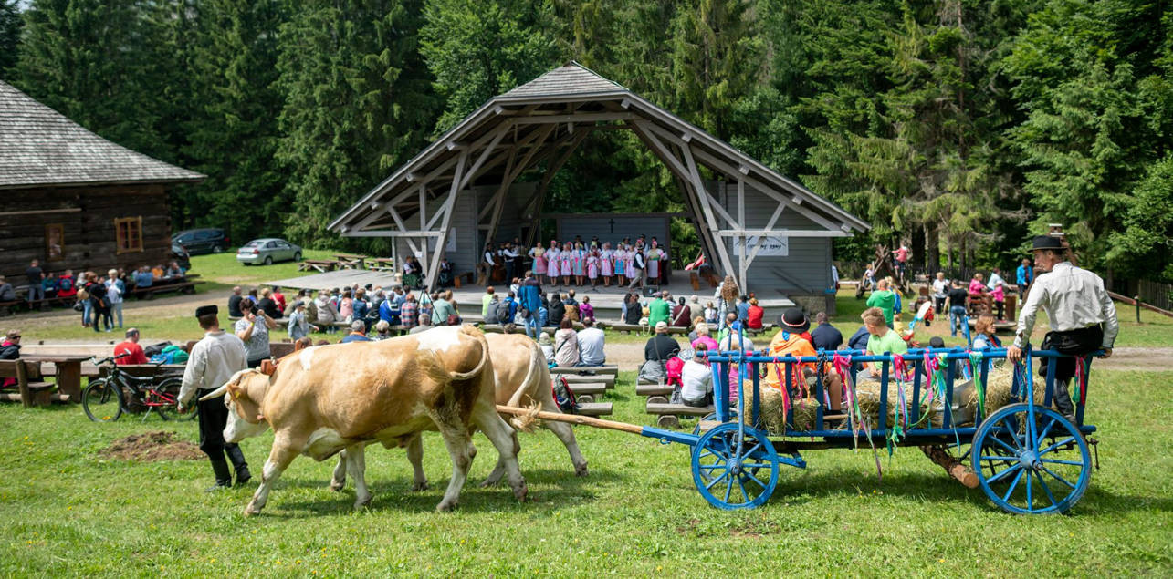vychylovka chovatelsky den 2022 v