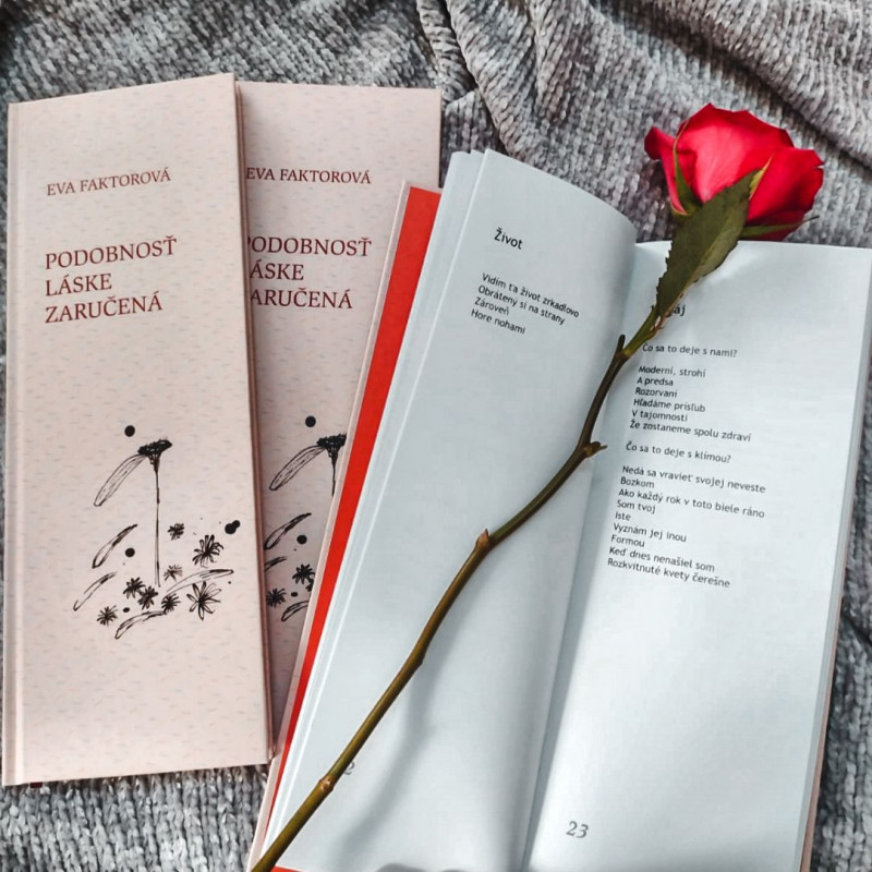eva faktorova kniha podobnost laske zarucena 03