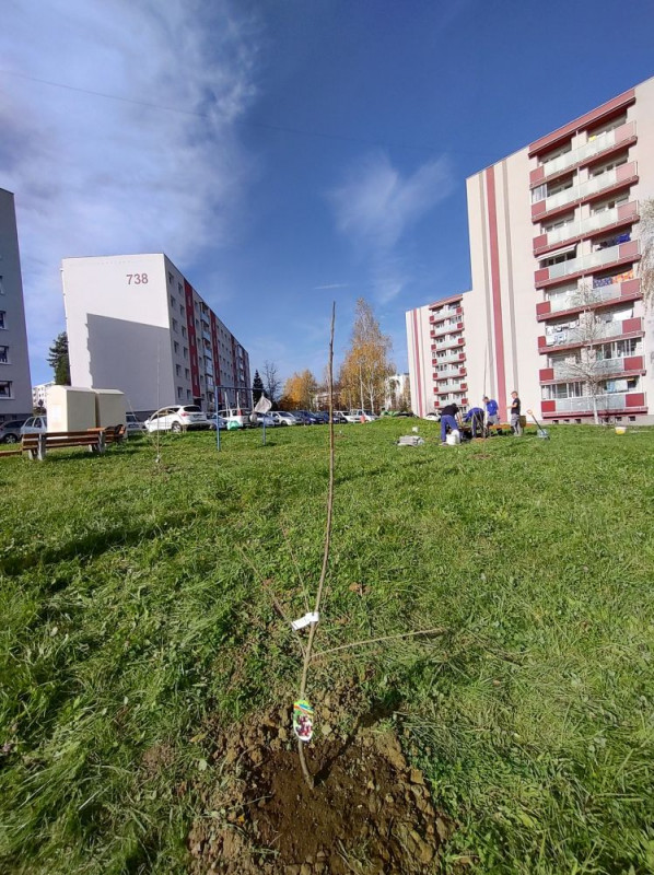 ceresnovy sad cadca 008