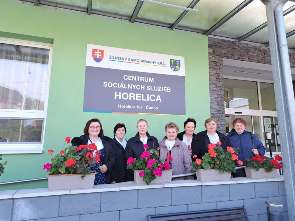 css horelica 001