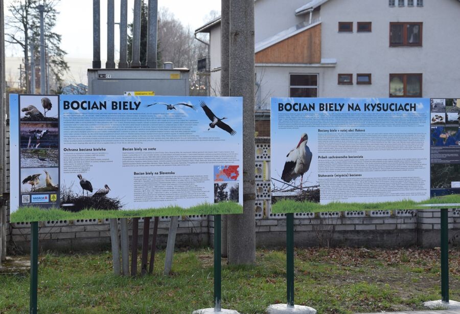 rakova bociany4