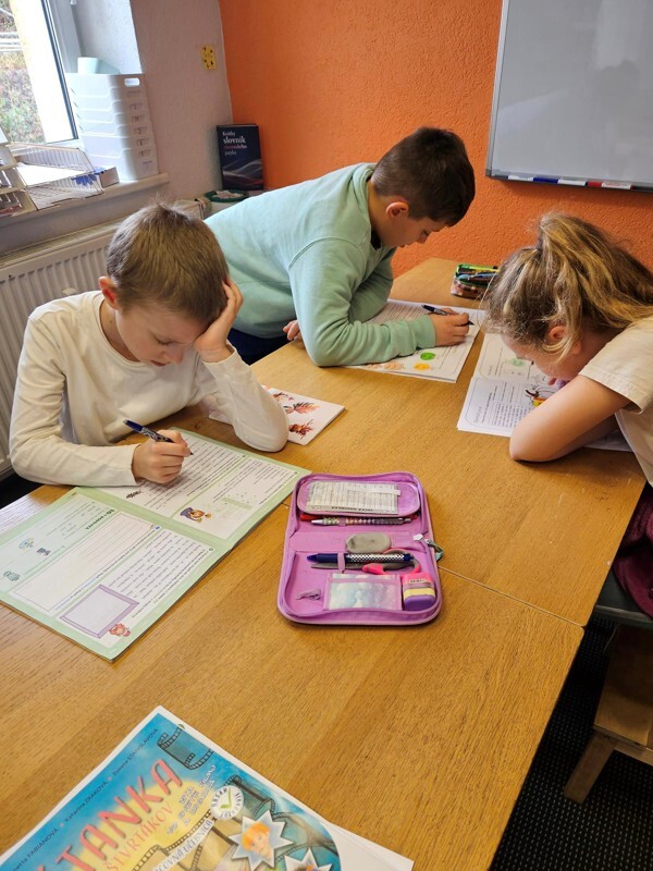 domoskola oriesokcadca4