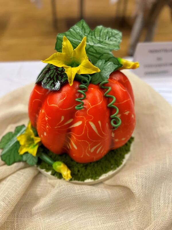sutaz torta1