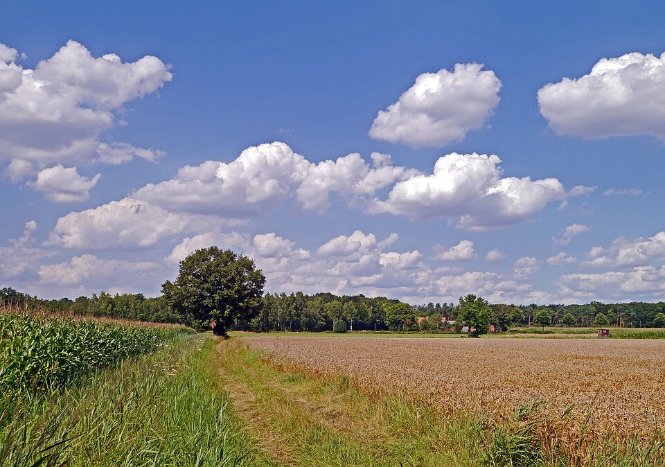 drobenie pozemkov