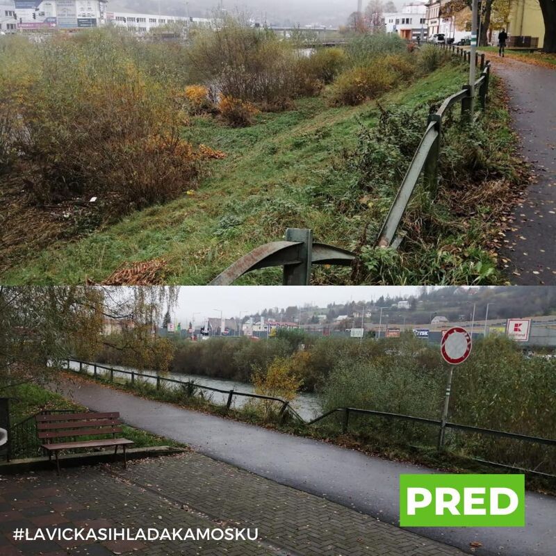 lavicka1
