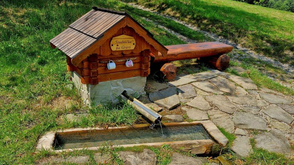 skornov grun korna 003