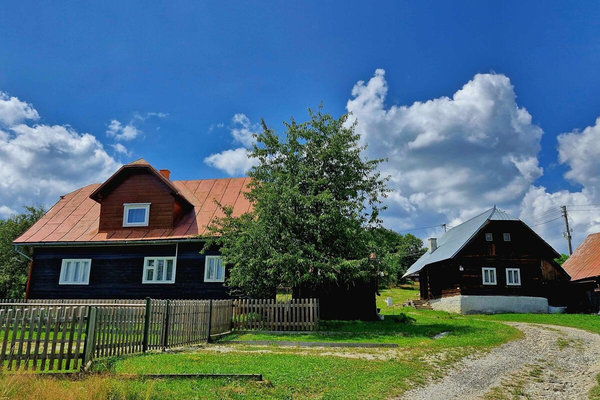skornov grun korna v