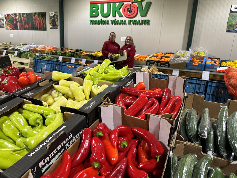 bukov 3