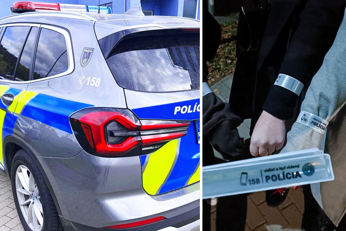 kontroly policia
