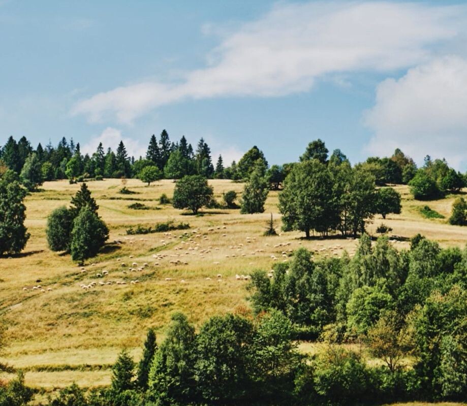 kysuce skladba2