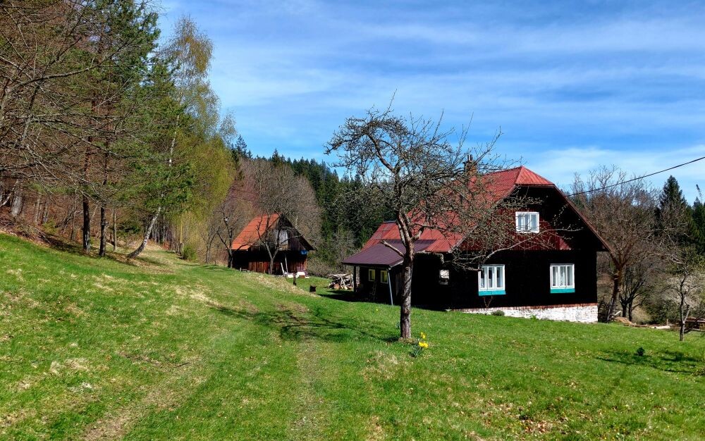 pisarovci makov 017