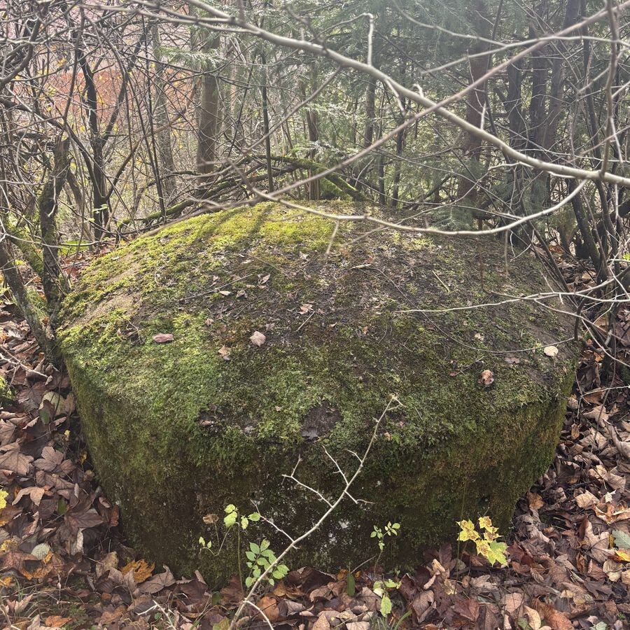bunker staskov12