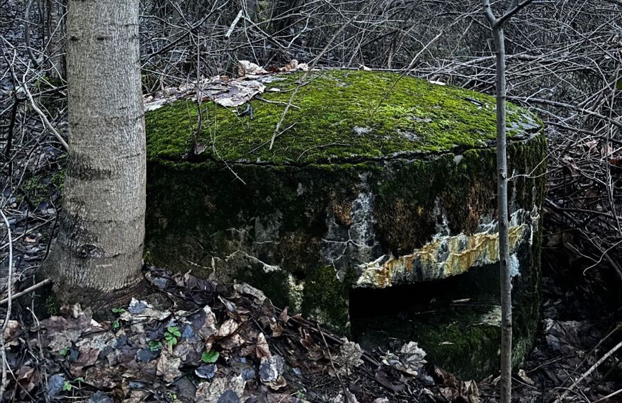 bunker staskov14