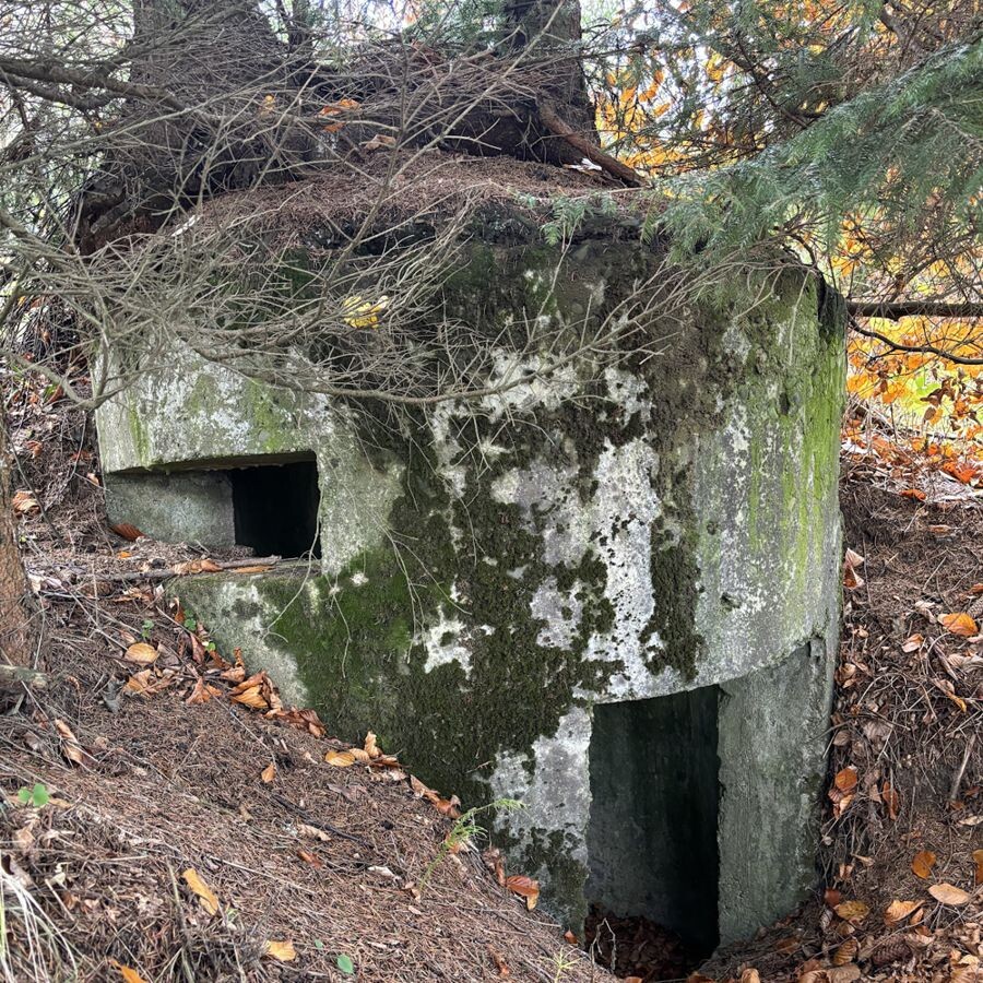 bunker staskov2
