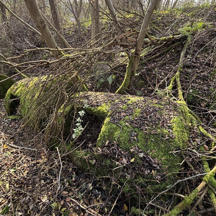 bunker staskov3