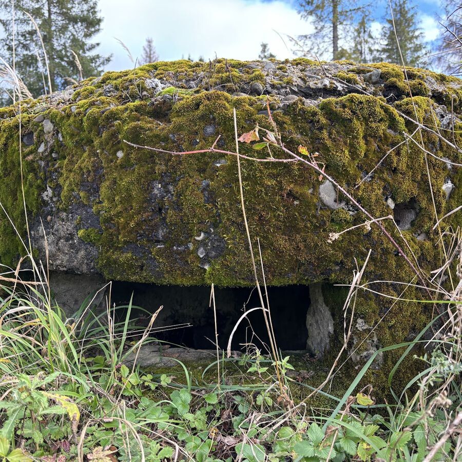 bunker staskov7