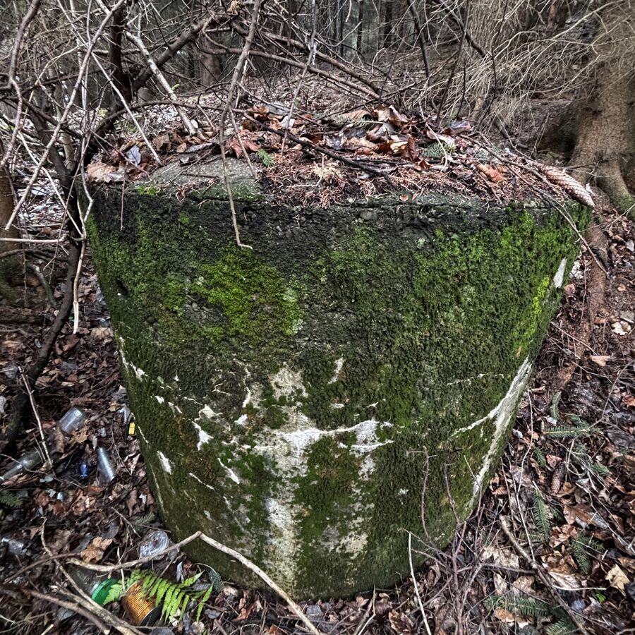 bunker staskov8