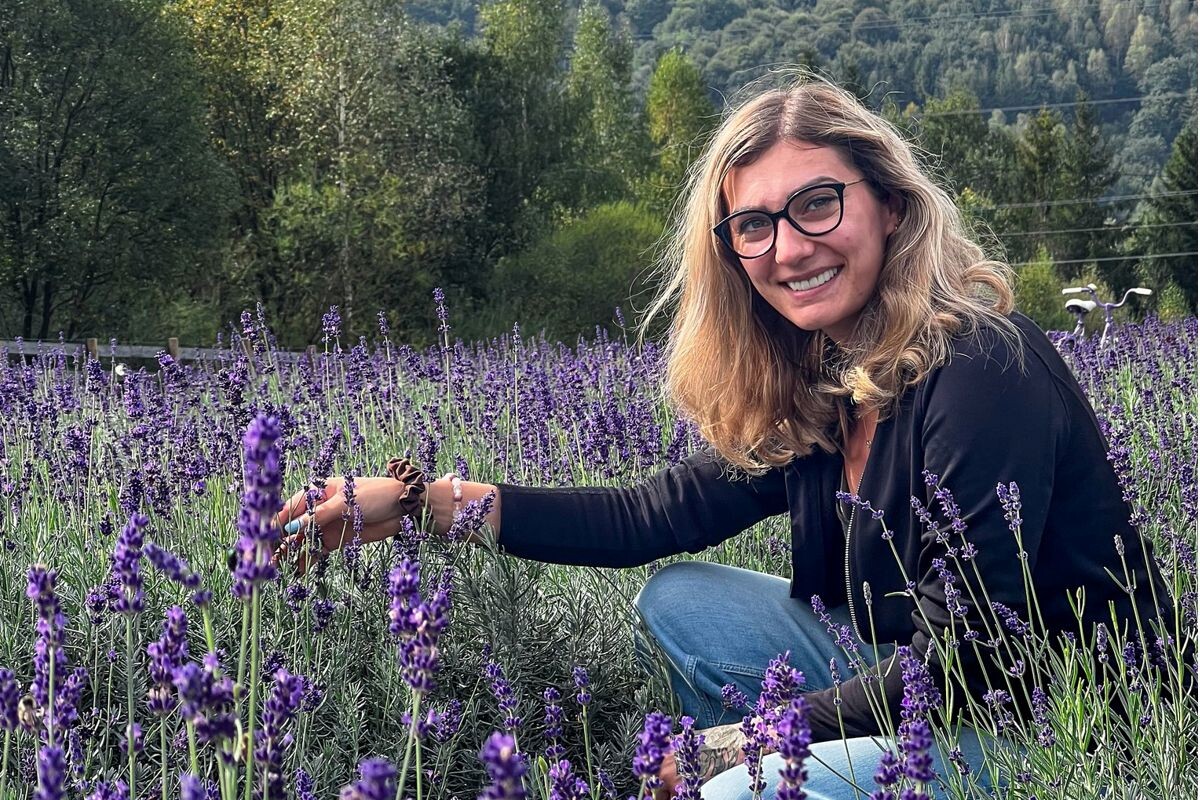 levandula zber