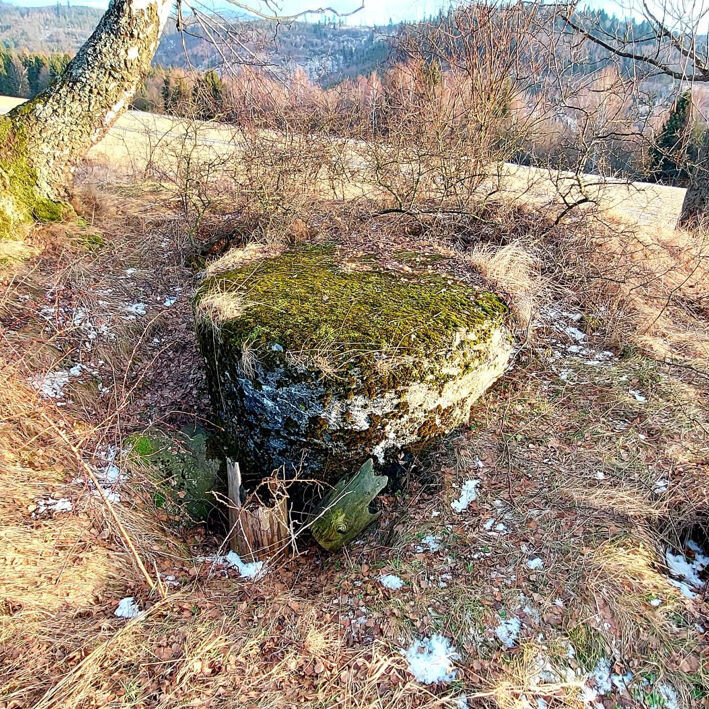 bunkre oscadnica3