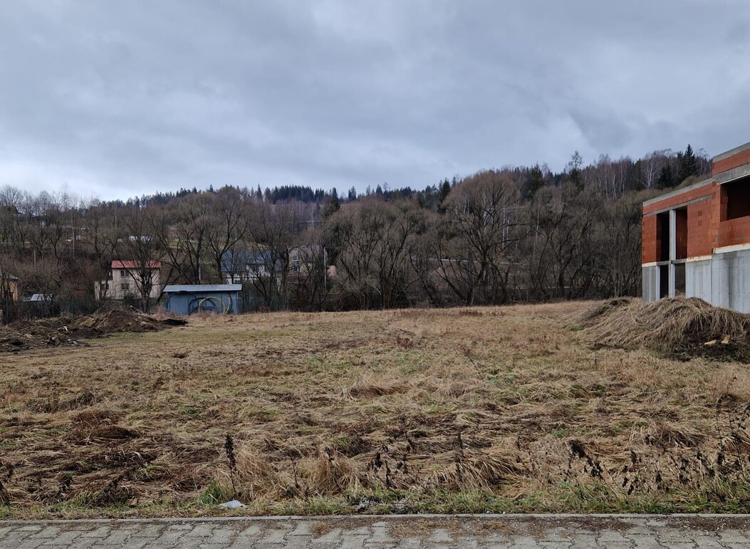 biedronka foto2