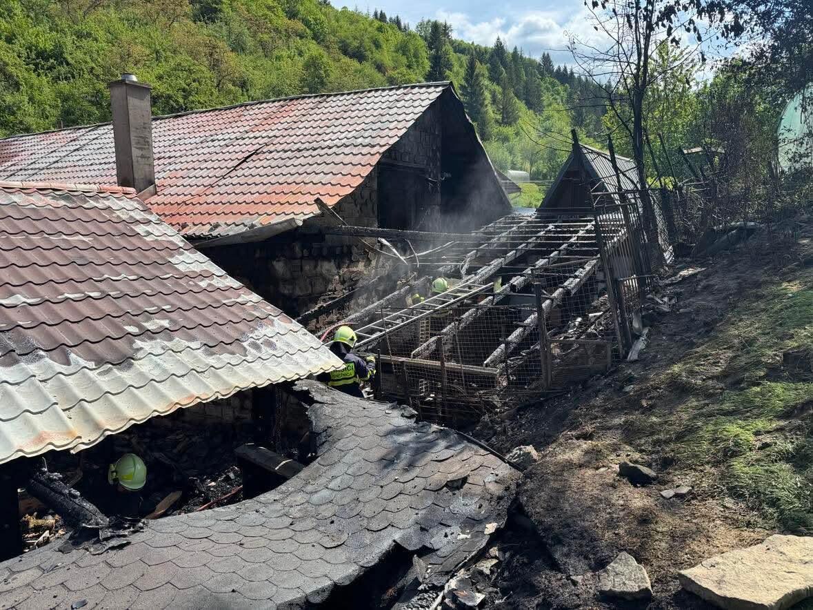 poziar sneznica2