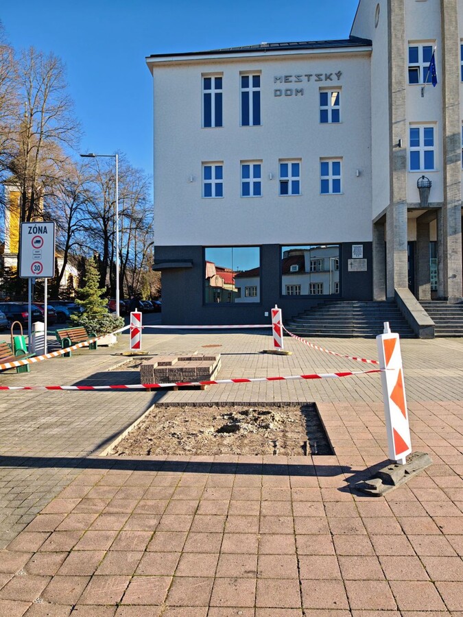 zelen v centre 2025 003