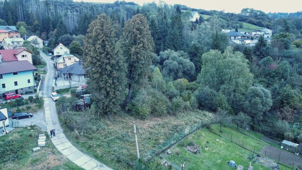 DCIM\100MEDIA\DJI_0414.JPG