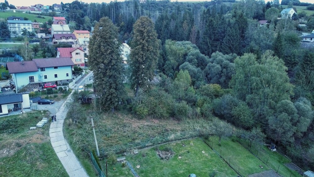 DCIM\100MEDIA\DJI_0415.JPG