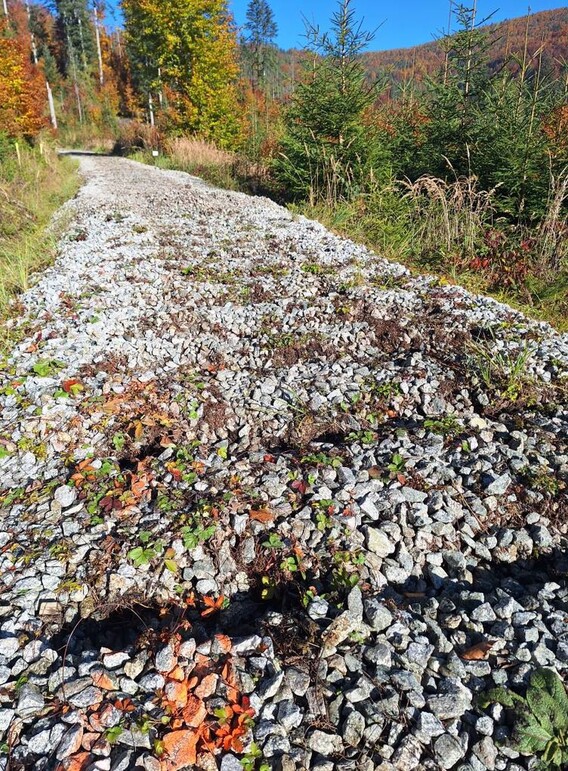 kolaje vychylovka nova bystrica005