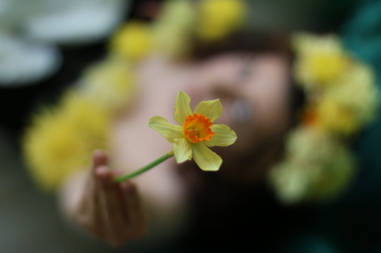 narcis 