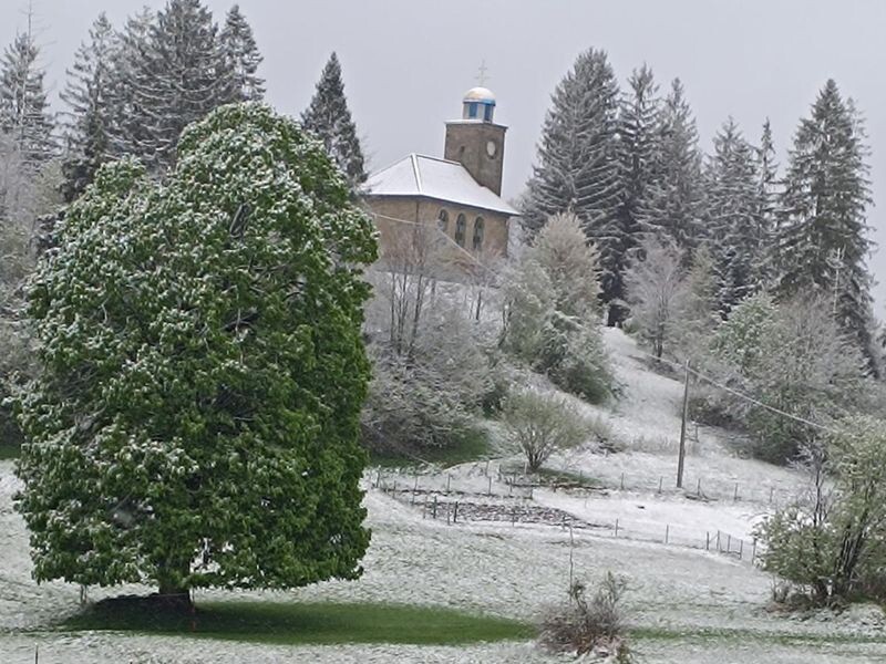 strom na zagrape2