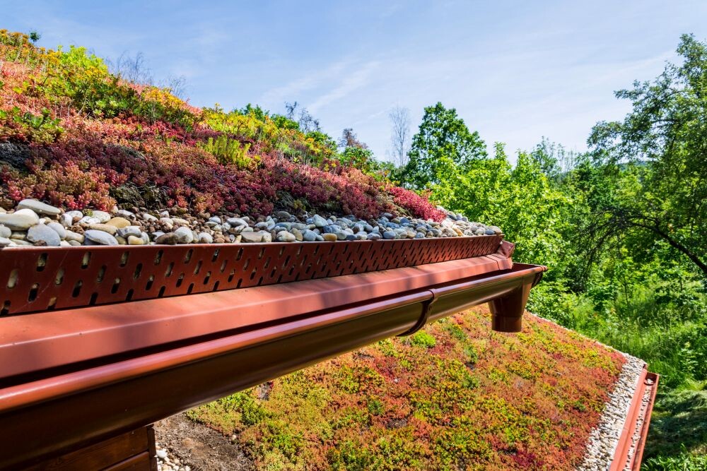 Extensive green ecological living sod roof covered with vegetation mostly sedum sexangulare, also known as tasteless stonecrop