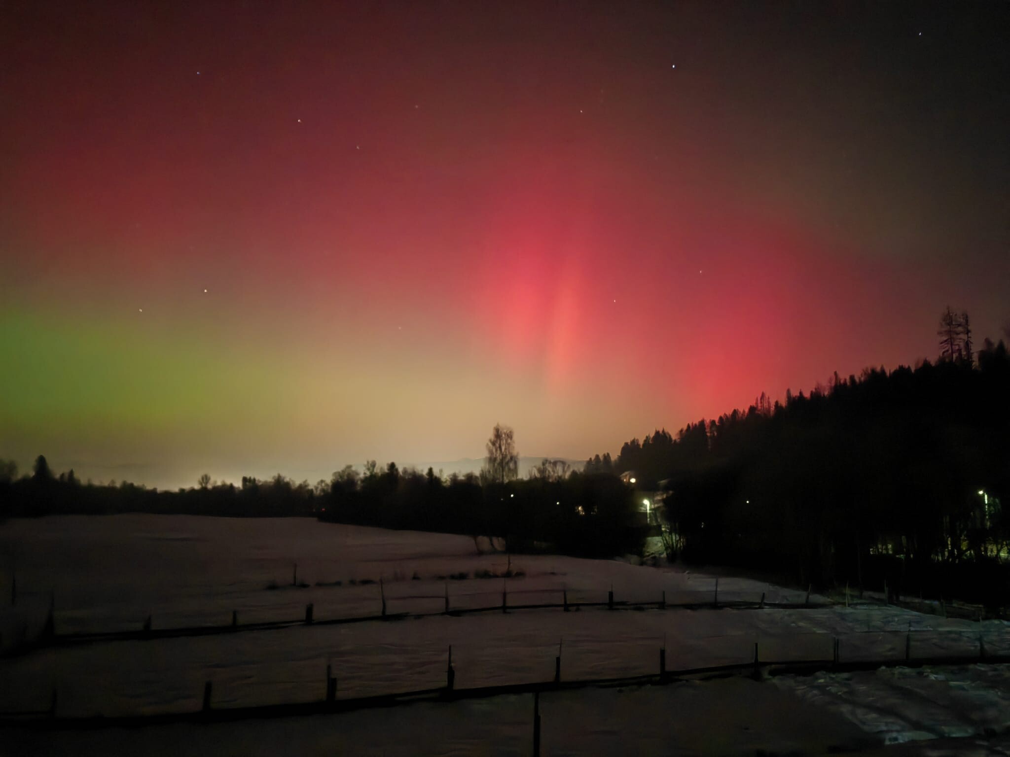 kultan polarna ziara01