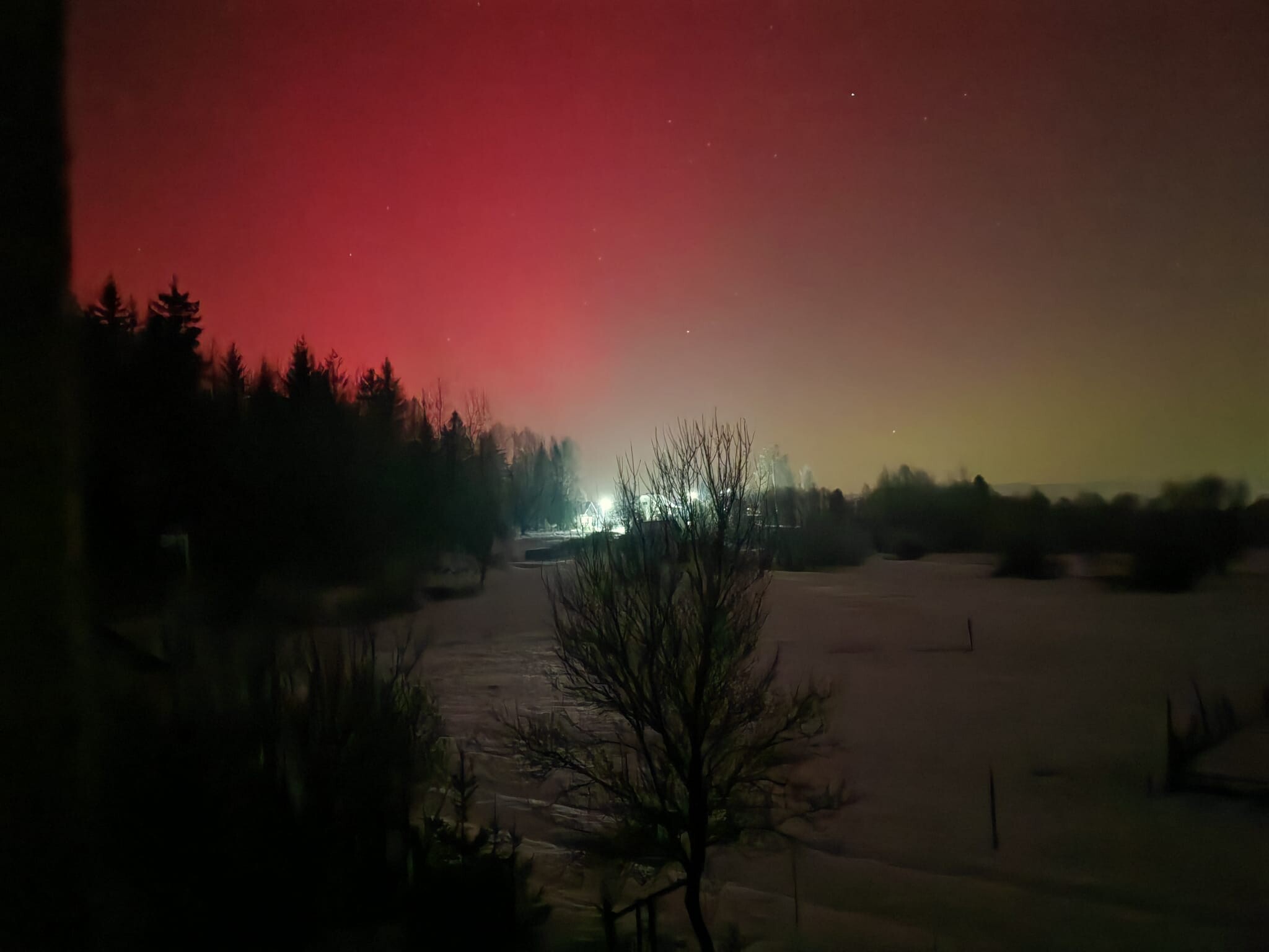 kultan polarna ziara02