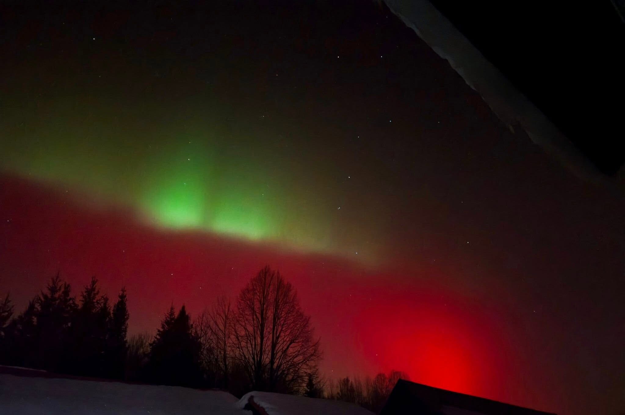 slivkova nova bystrica polarna ziara