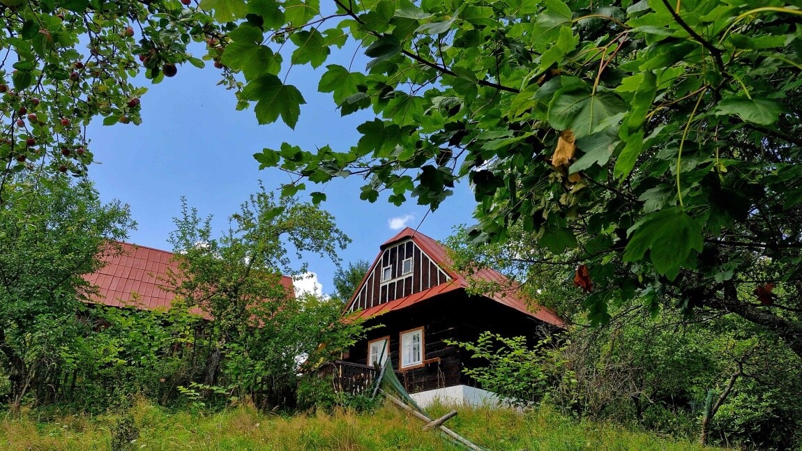 skornov grun korna 17 original