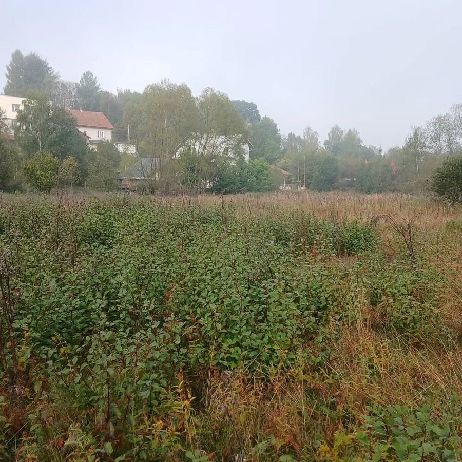 raselinisko pred