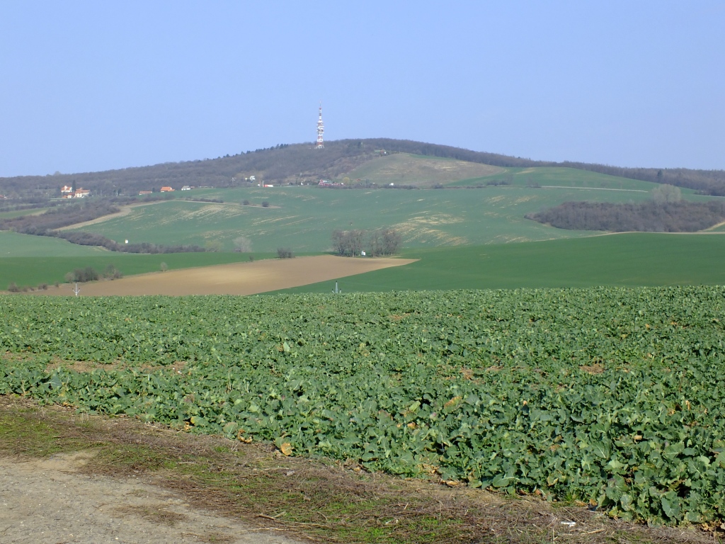 moravske toskansko 037