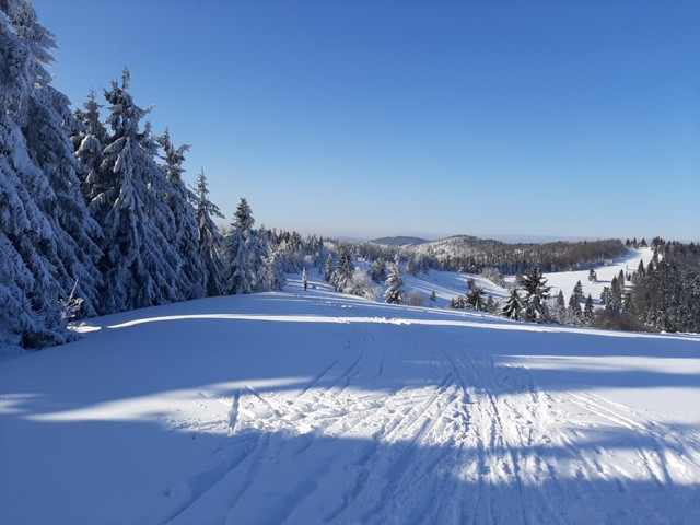 prechod javornikmi 2