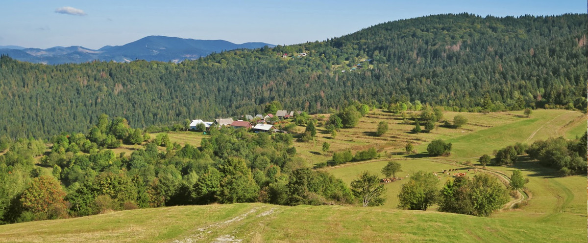 blazkovci