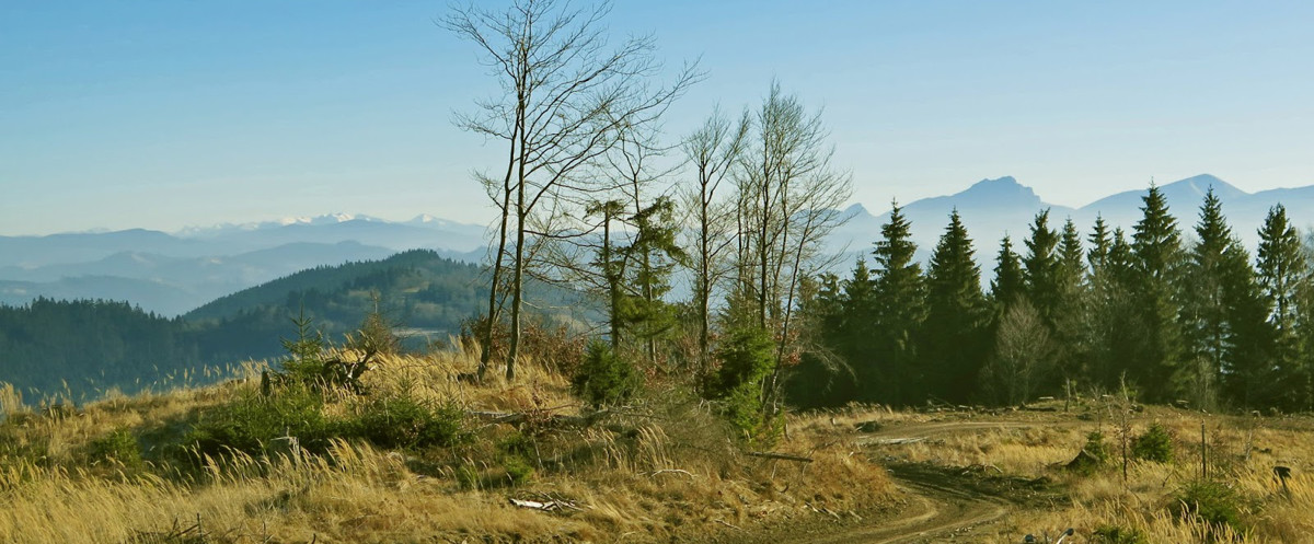tatry