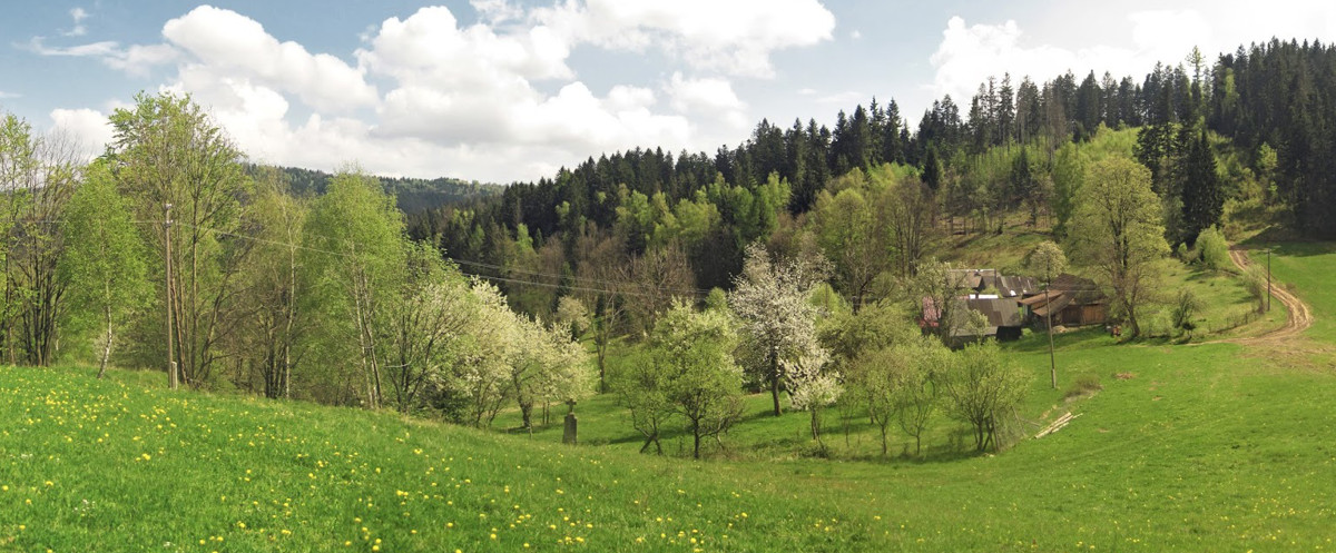 zbunovia