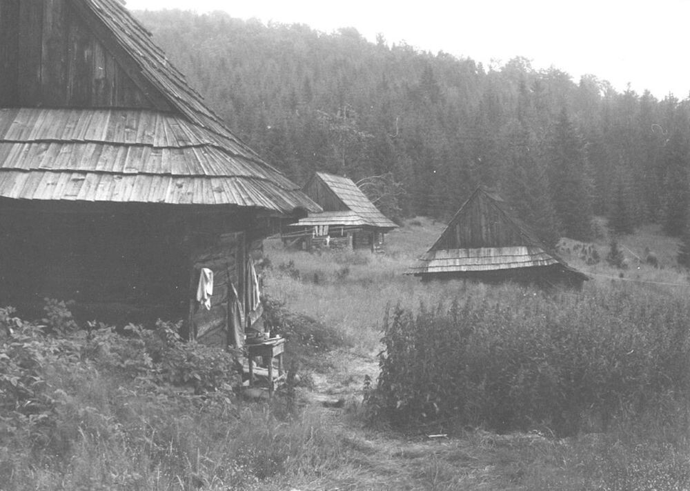 brizgalky 004